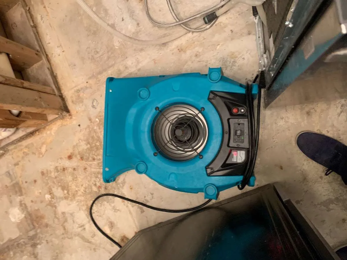 Air mover drying equipment for Mold Remediation & Removal in Fairfax